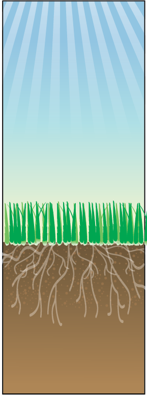 Diagram of nutrients and oxygen (K, P, O₂) being blocked or reflected away from soil, shown with an upward arrow away from grass roots.